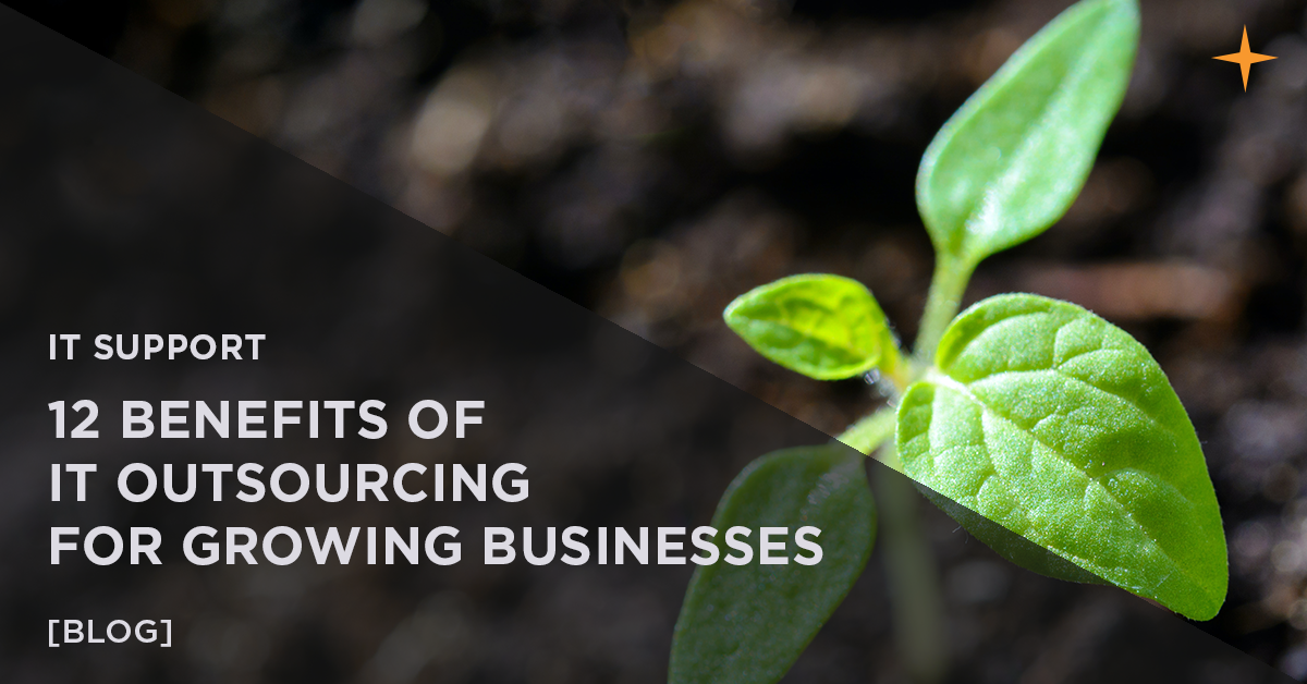Budding plant. Text 12 benefits of IT outsourcing