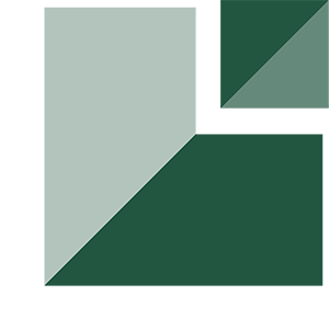 IT Consultancy